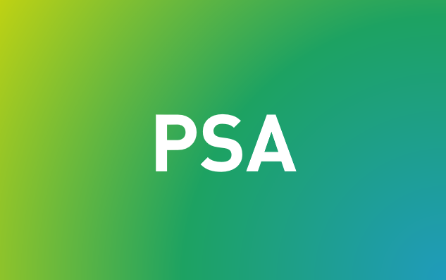 PSA = Persönliche Schutzausrüstung